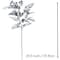 30" Fern Stem by Ashland®